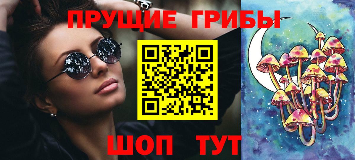 Псилоцибиновые грибы Cubensis Канск